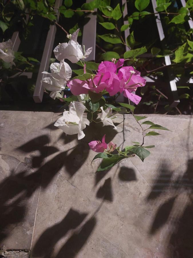 May'S Cottage ハノイ市 エクステリア 写真