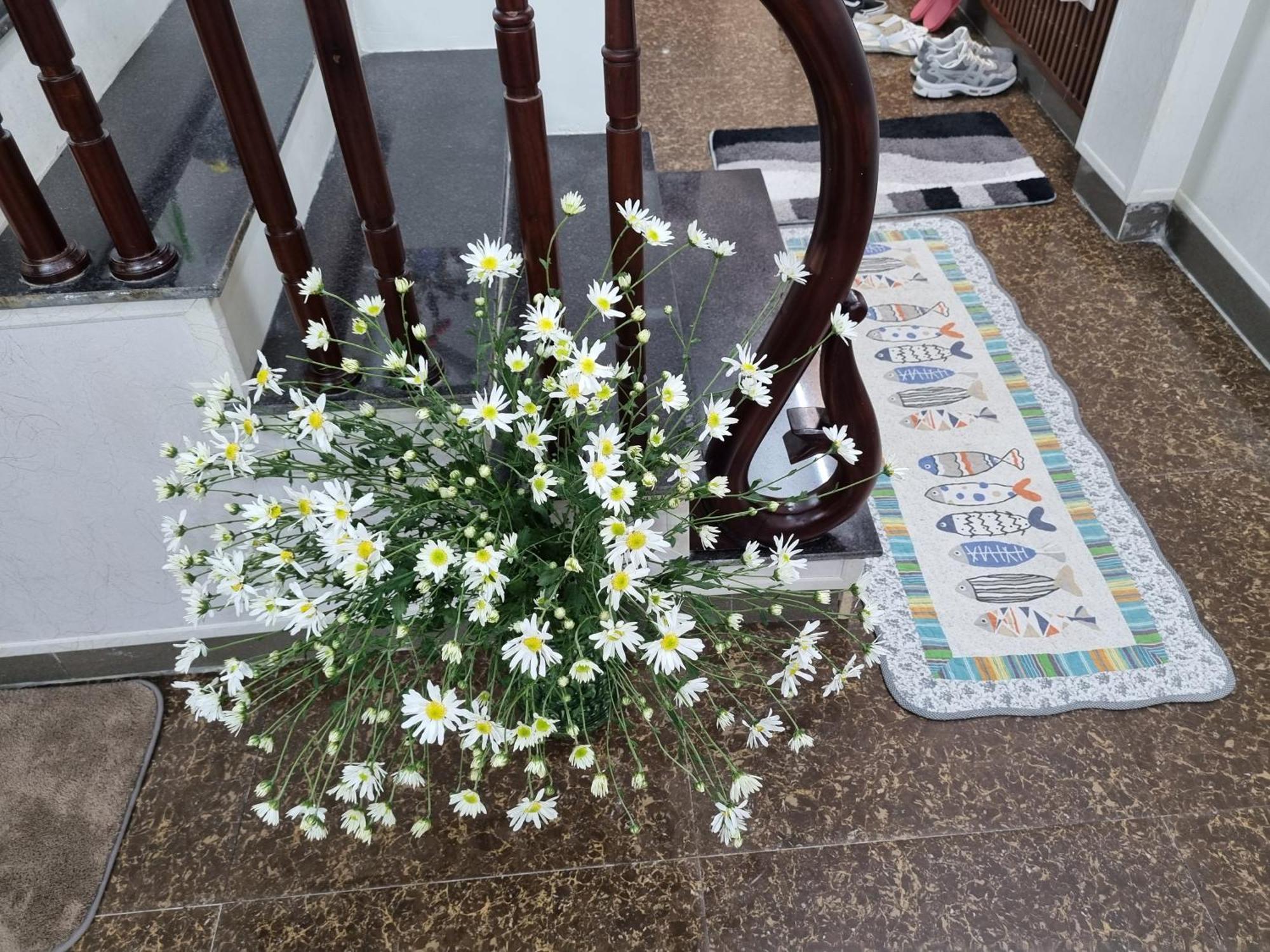 May'S Cottage ハノイ市 エクステリア 写真