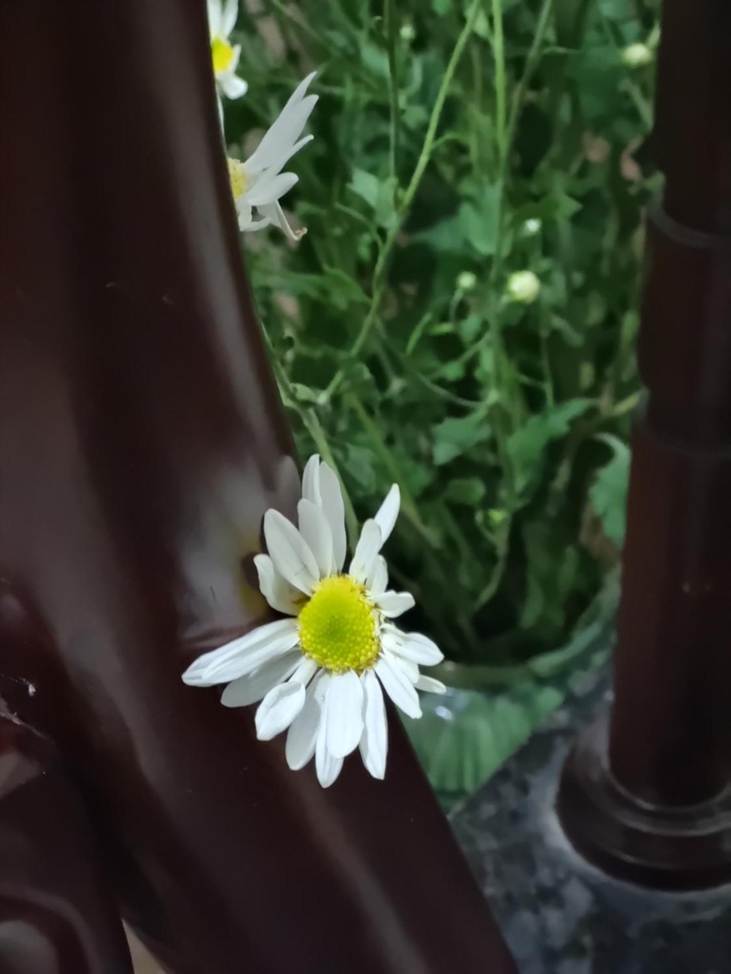 May'S Cottage ハノイ市 エクステリア 写真