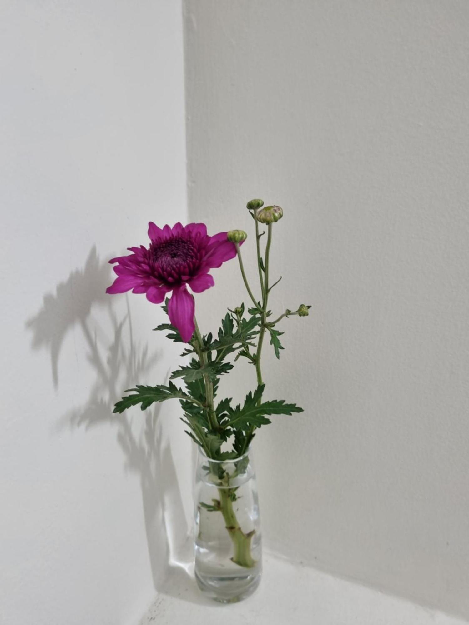 May'S Cottage ハノイ市 部屋 写真