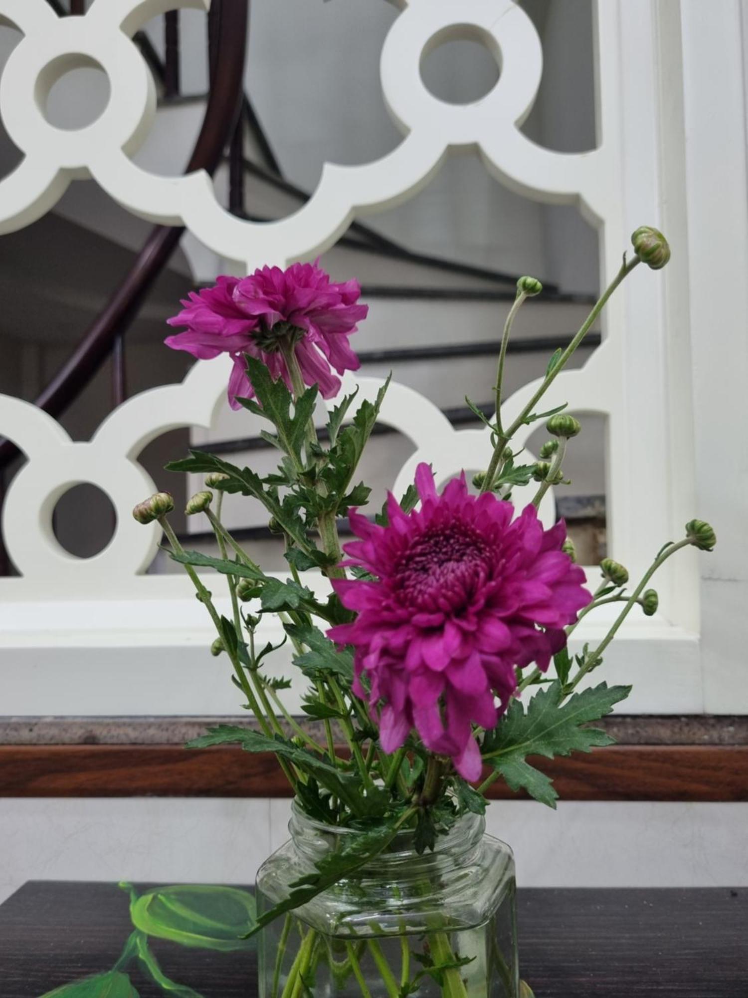 May'S Cottage ハノイ市 部屋 写真